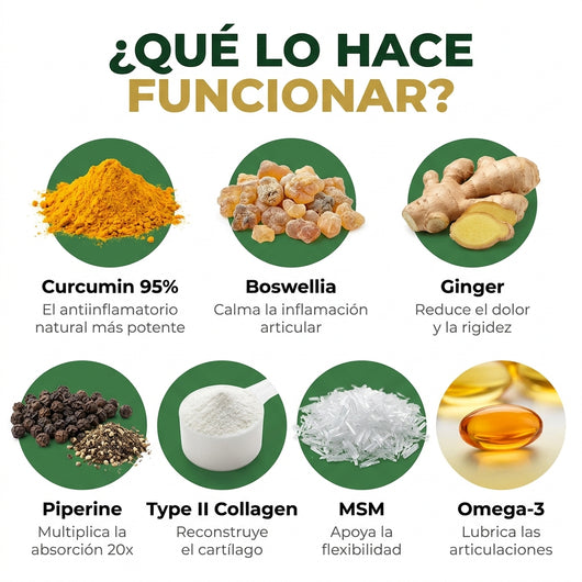 Movalis JointRepair | Curcumina Nano para Articulaciones y Movilidad