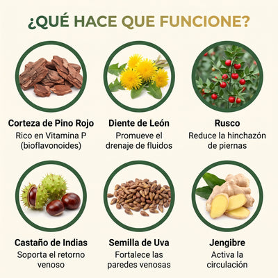 LinfaFlow